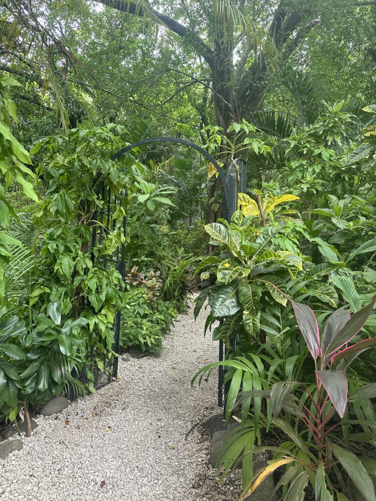 deep Costa Rican jungle path leading to a magical shala