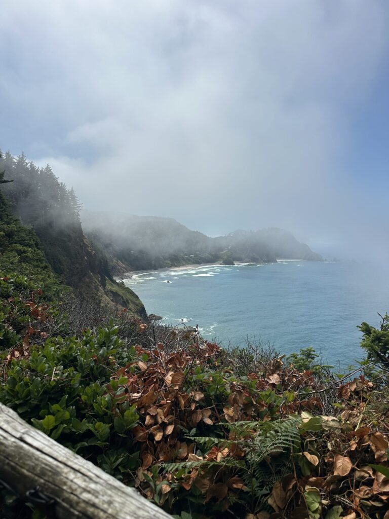 view of the Oregon coast with a brilliant blue bay and a wisp of high clouds that moved like fog above the rocky shore