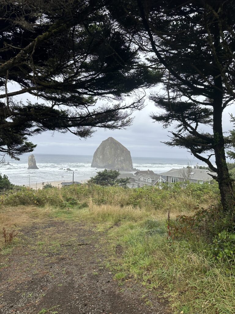 view of haystack rock on the Oregon coast through the old growth coastal pines above the beach