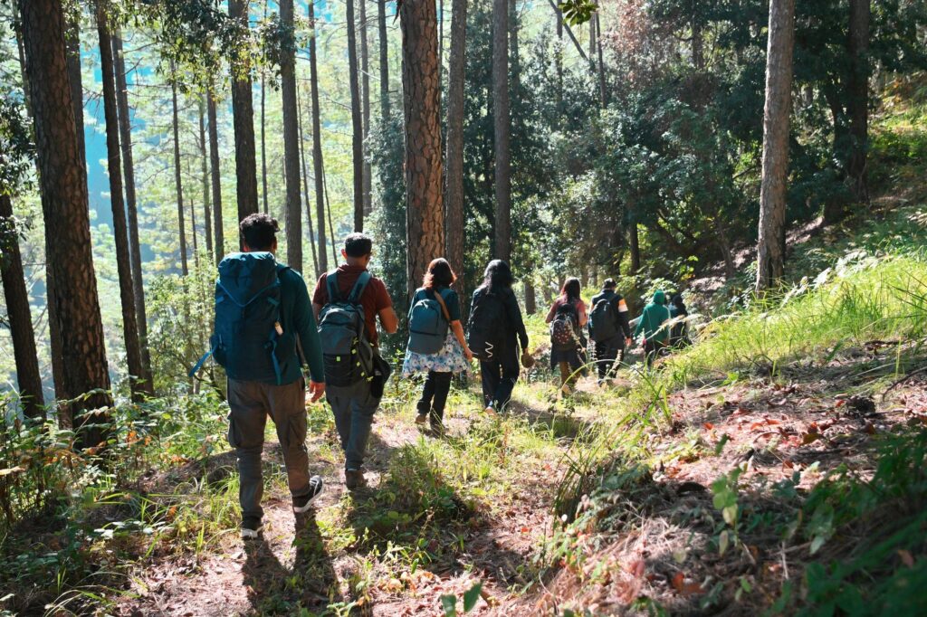 Group hiking on a forest trail