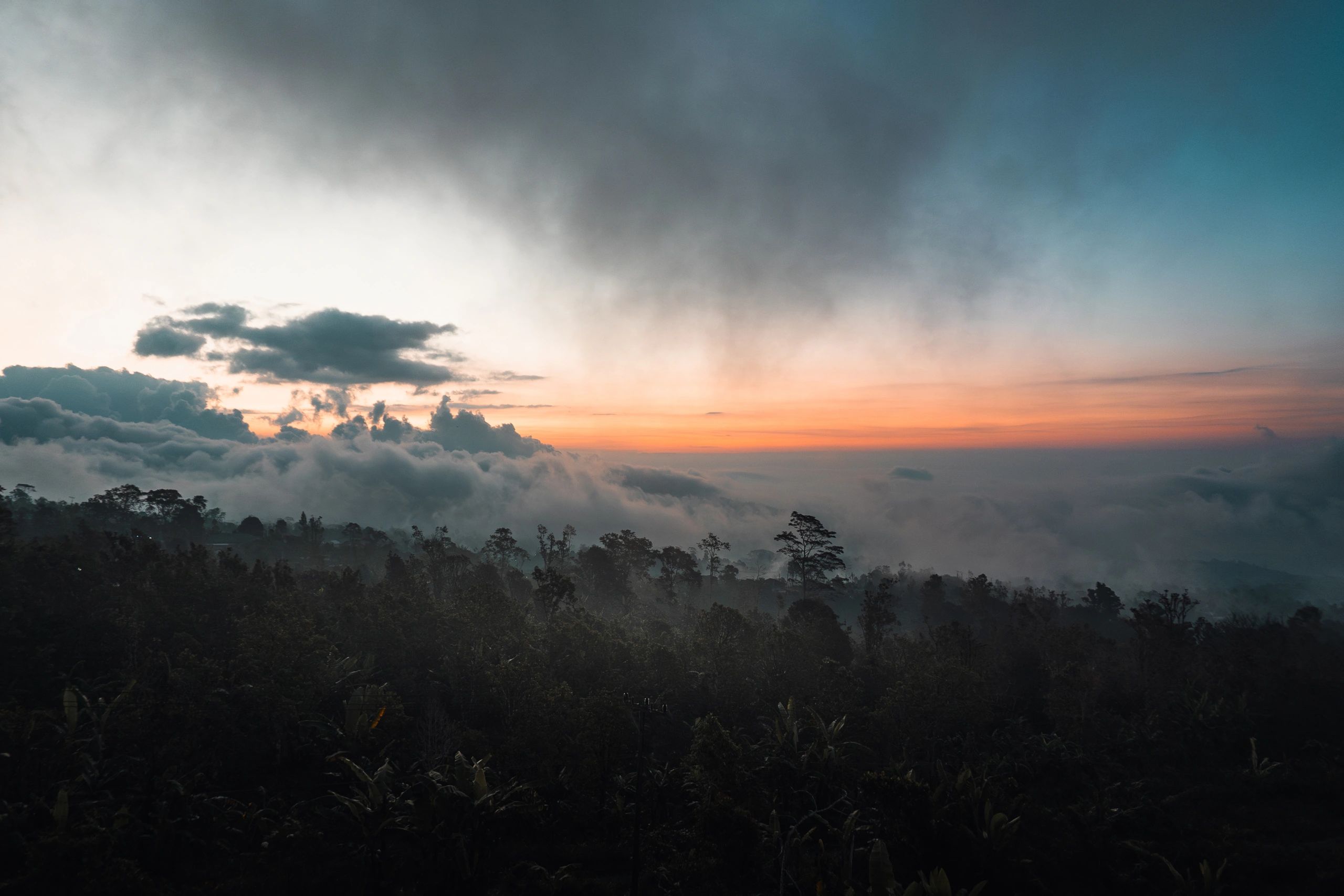 Golden sunrise over a forest landscape, symbolizing a fresh start