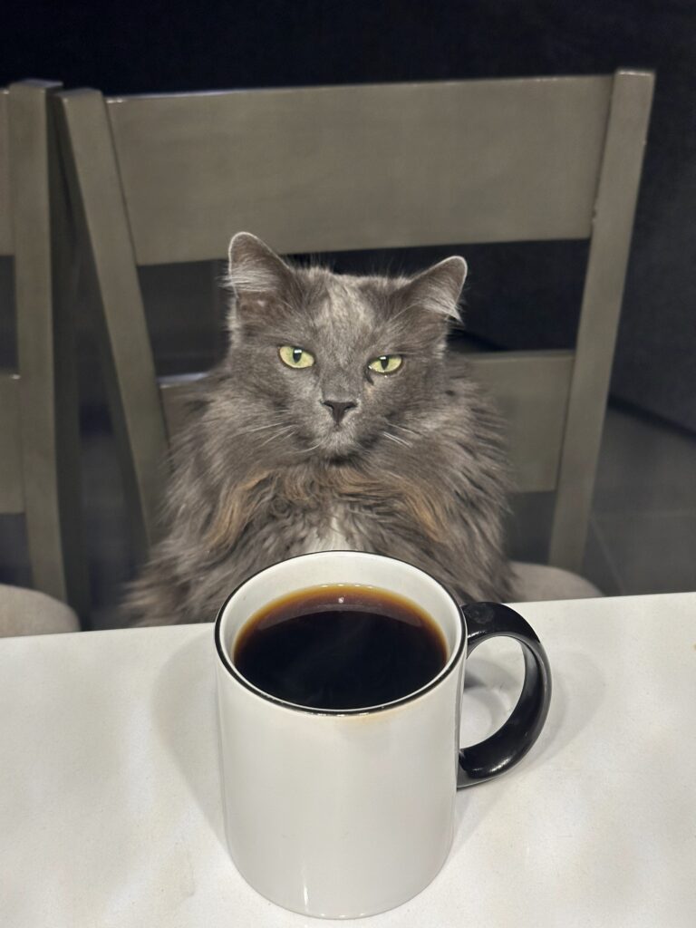 Morning coffee with the cat, no meetings on the calendar